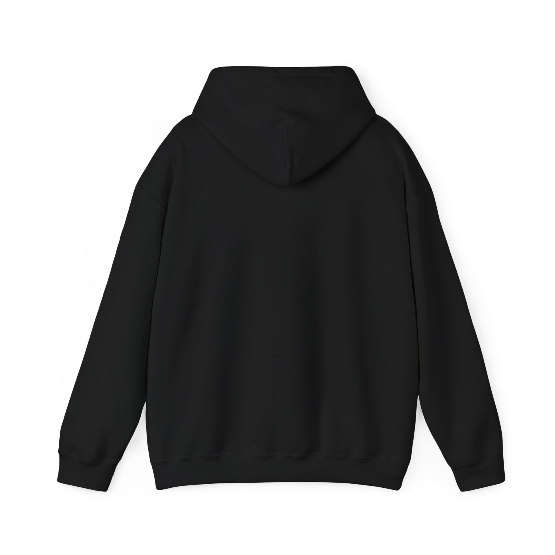 Black Printify hoodie shown from the back perfect for a turkey hunting hoodie option