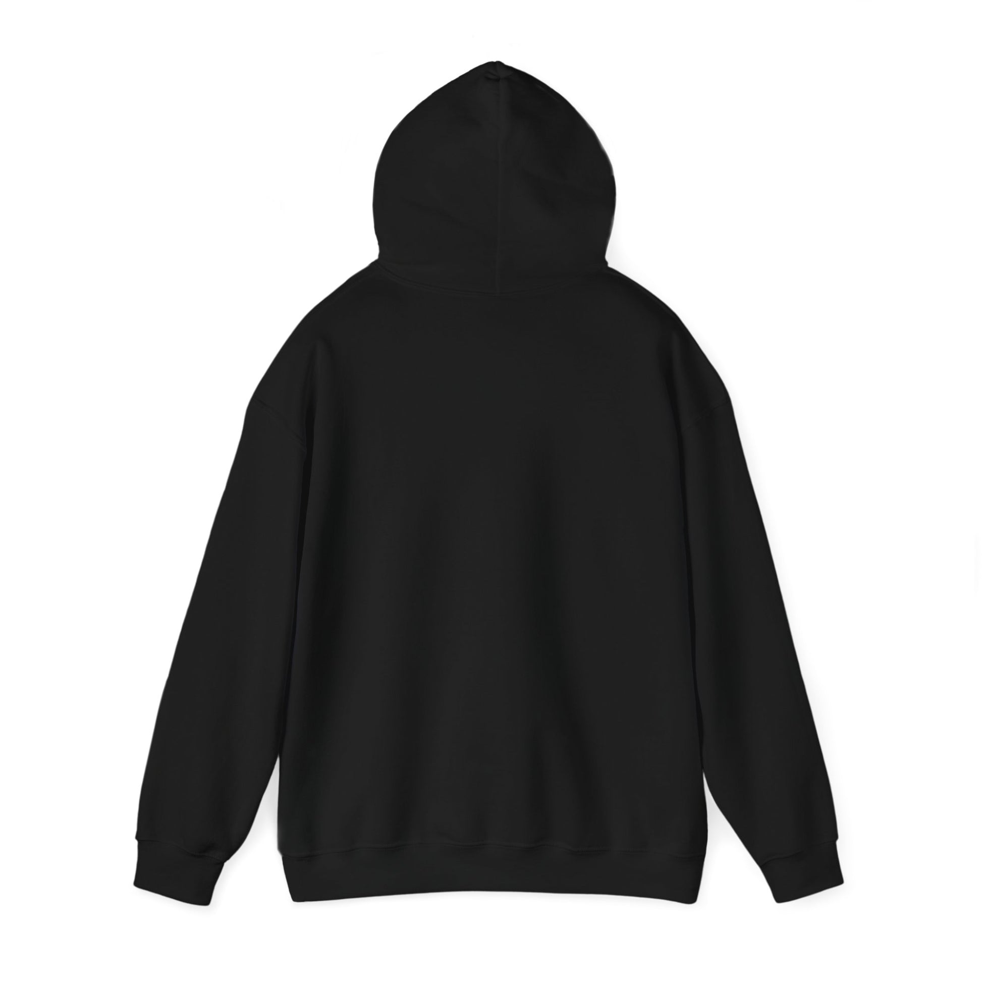 Black plain hoodie from Printify shown from the back, perfect as a comfortable turkey hunting hoodie